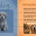 Editorial illustration comparing a vague prompt and blurry AI dog image on the left with a detailed descriptive prompt and a crisp photorealistic golden retriever portrait on the right